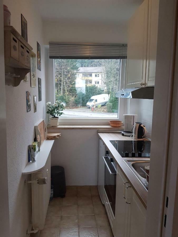 Weitblick Apartment Sankt Andreasberg Exterior photo